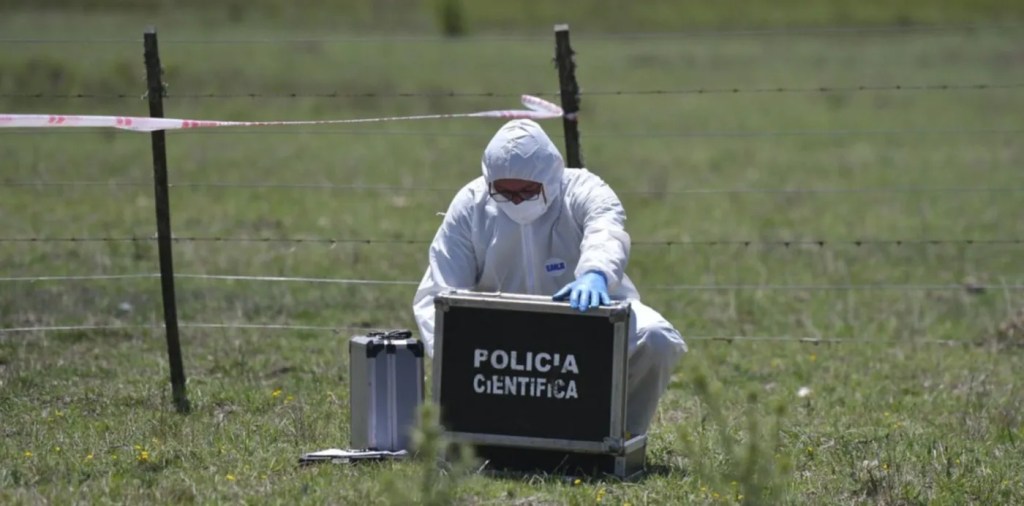 Analizan restos óseos encontrados en una playa de&nbsp;Berisso