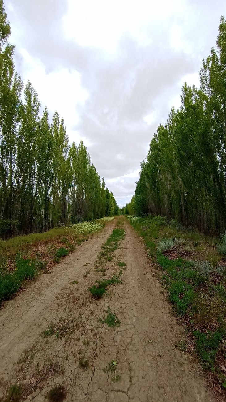 Alerta por infraestructura: CRA recorre norte y advierte sobre rutas&nbsp;deterioradas